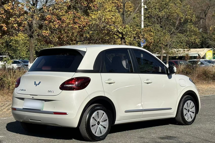 五菱汽车 五菱缤果 2023款 333km 快享款车身外观6004