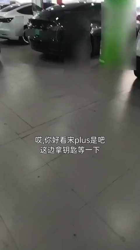 比亚迪 宋PLUS新能源 2021款 DM-i 110KM 旗舰PLUS讲解1