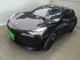 特斯拉 Model 3 2022款 后轮驱动版