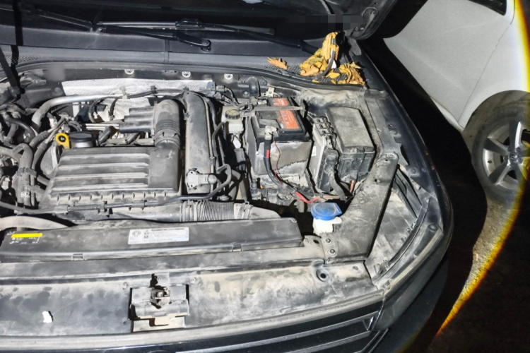 大众 迈腾 2019款 280TSI DSG 舒适型 国VI局部细节9007