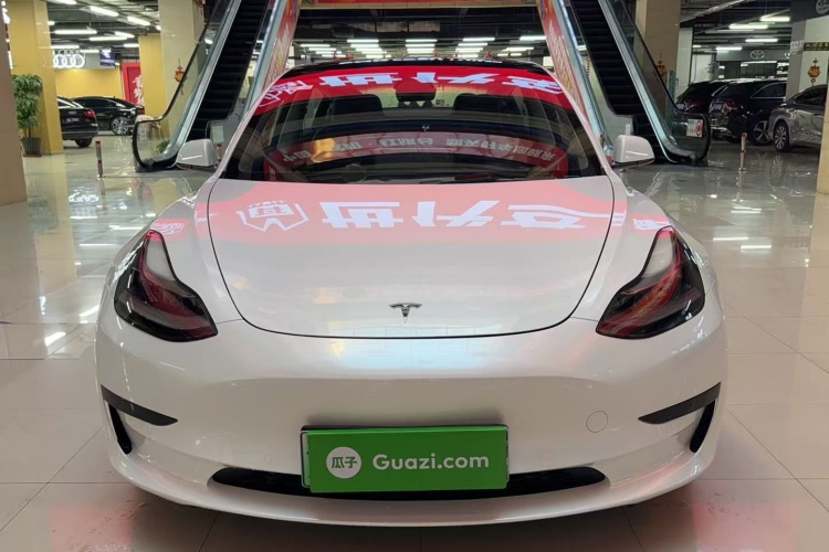 特斯拉 Model 3 2021款 标准续航后驱升级版车身外观6002