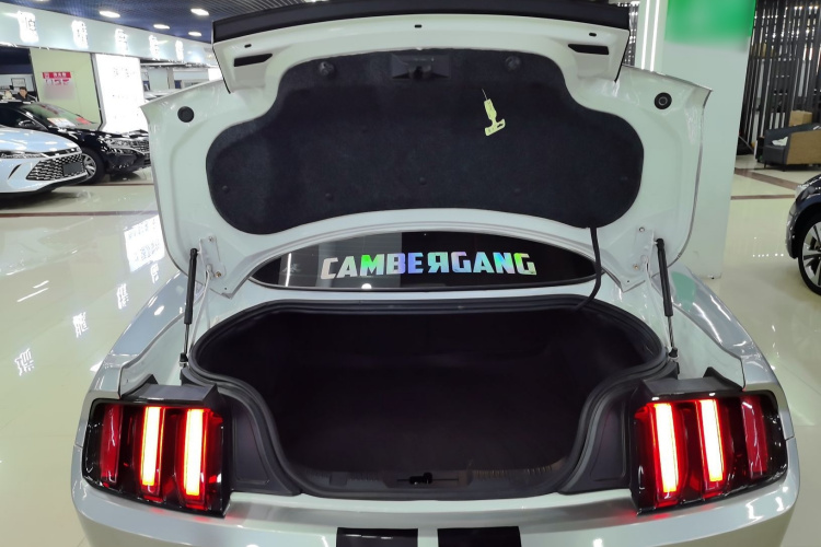 福特Mustang（平行进口） 局部细节23