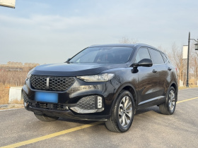 魏牌 VV6 2020款 2.0T 两驱智享+