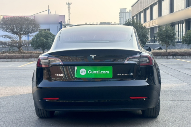特斯拉 Model 3 2020款 标准续航后驱升级版车身外观6002