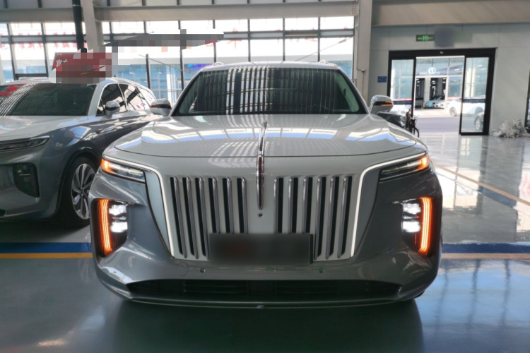 红旗E-HS9 2022款 660km 旗领版 四座车身外观2