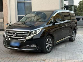 广汽传祺 传祺M8 2018款 320T 尊贵版