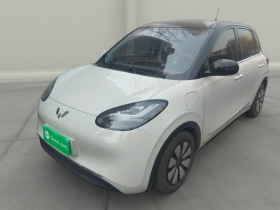 五菱汽车 五菱缤果 2023款 333km 灵犀互联款