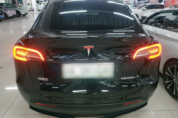 特斯拉 Model Y 2021款 长续航全轮驱动版车身外观6
