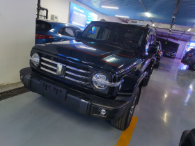 坦克300 2023款 城市版 2.0T 很有型