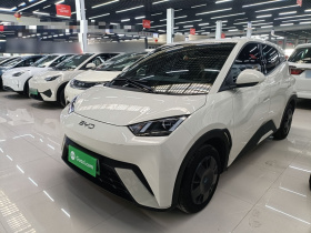 比亚迪 海鸥 2024款 荣耀版 305km 活力版