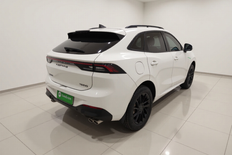 东风风行 风行T5 EVO 2021款 1.5TD DCT星耀版车身外观7