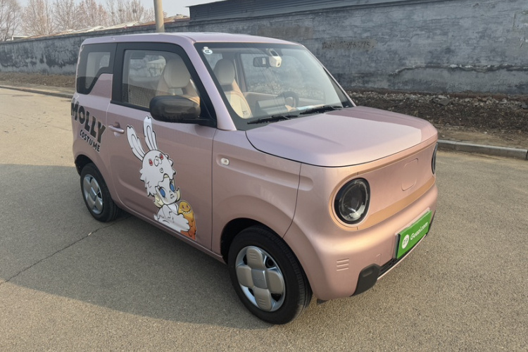 吉利银河 2024款 熊猫mini 200km 耐力熊车身外观6004