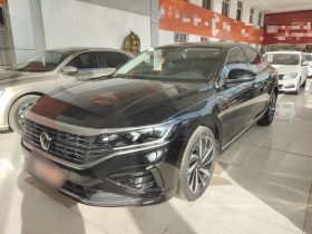 大众 帕萨特 2022款 330TSI 精英版 定制版