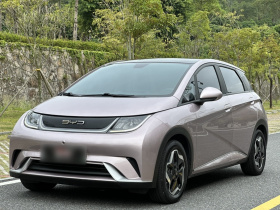 比亚迪 海豚 2021款 405km 时尚版