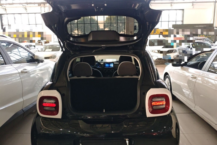 欧拉黑猫 2019款 351km 灵智版局部细节23