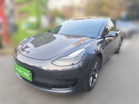 特斯拉 Model 3 2022款 后轮驱动版