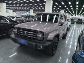 坦克300 2023款 城市版 2.0T 很有型