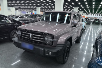 坦克300 2023款 城市版 2.0T 很有型