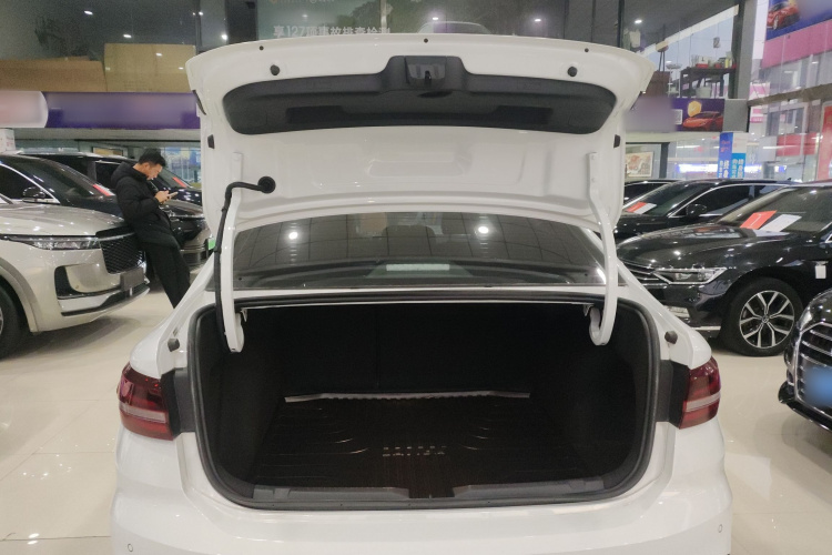 大众 朗逸 2024款 300TSI DSG星空领先版局部细节23