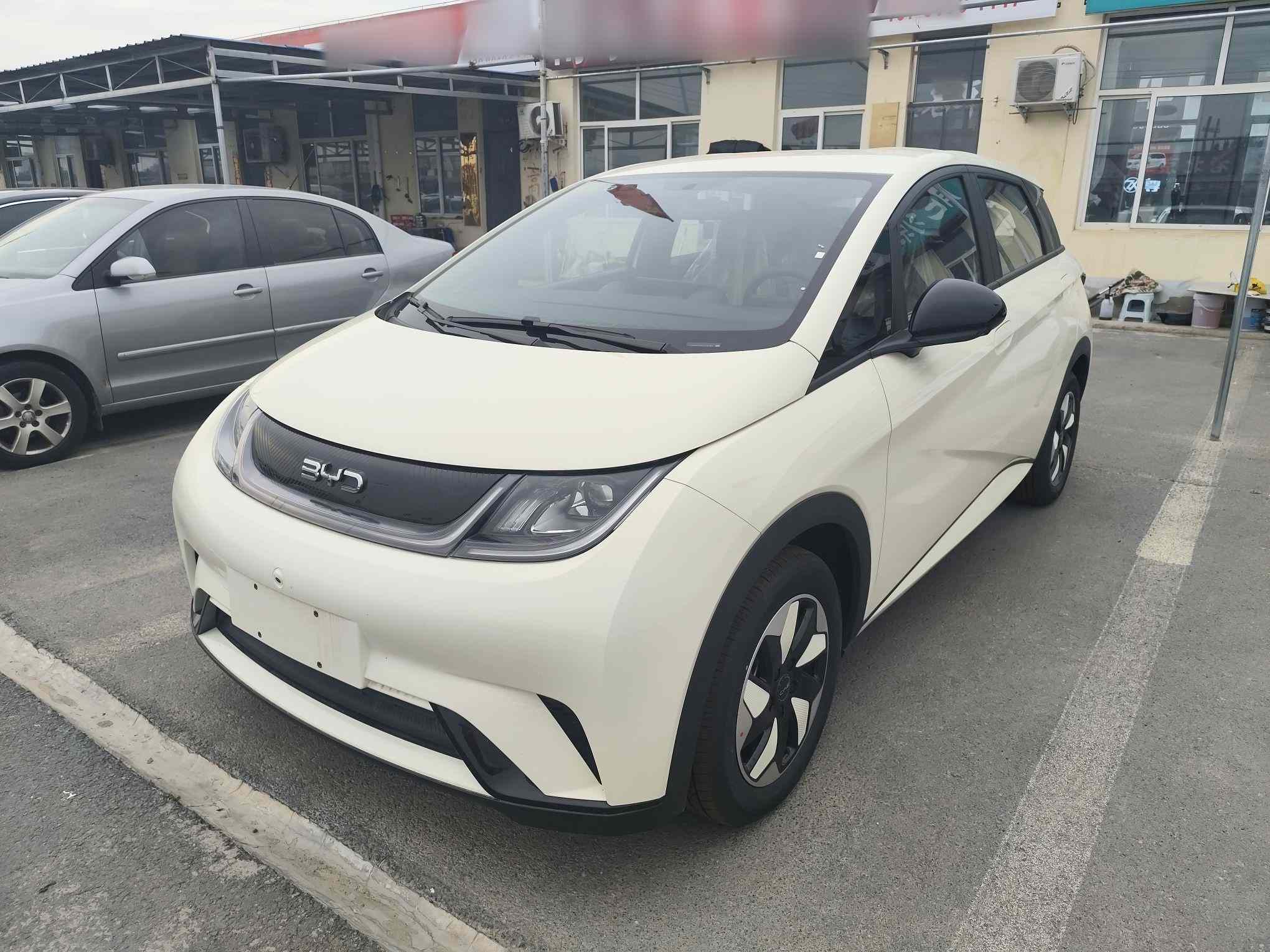 比亚迪 海豚 2025款 420km 自由版(2)