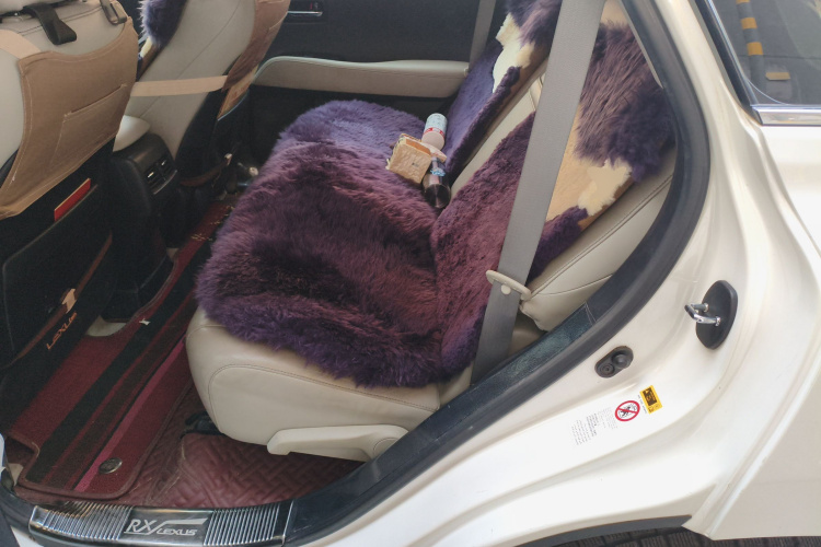 雷克萨斯RX经典 2013款 270 精英版中控内饰21