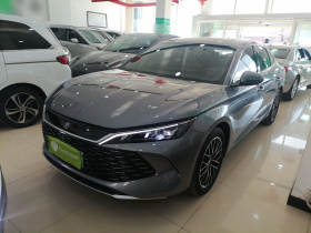 比亚迪 秦L 2024款 DM-i 120KM卓越型