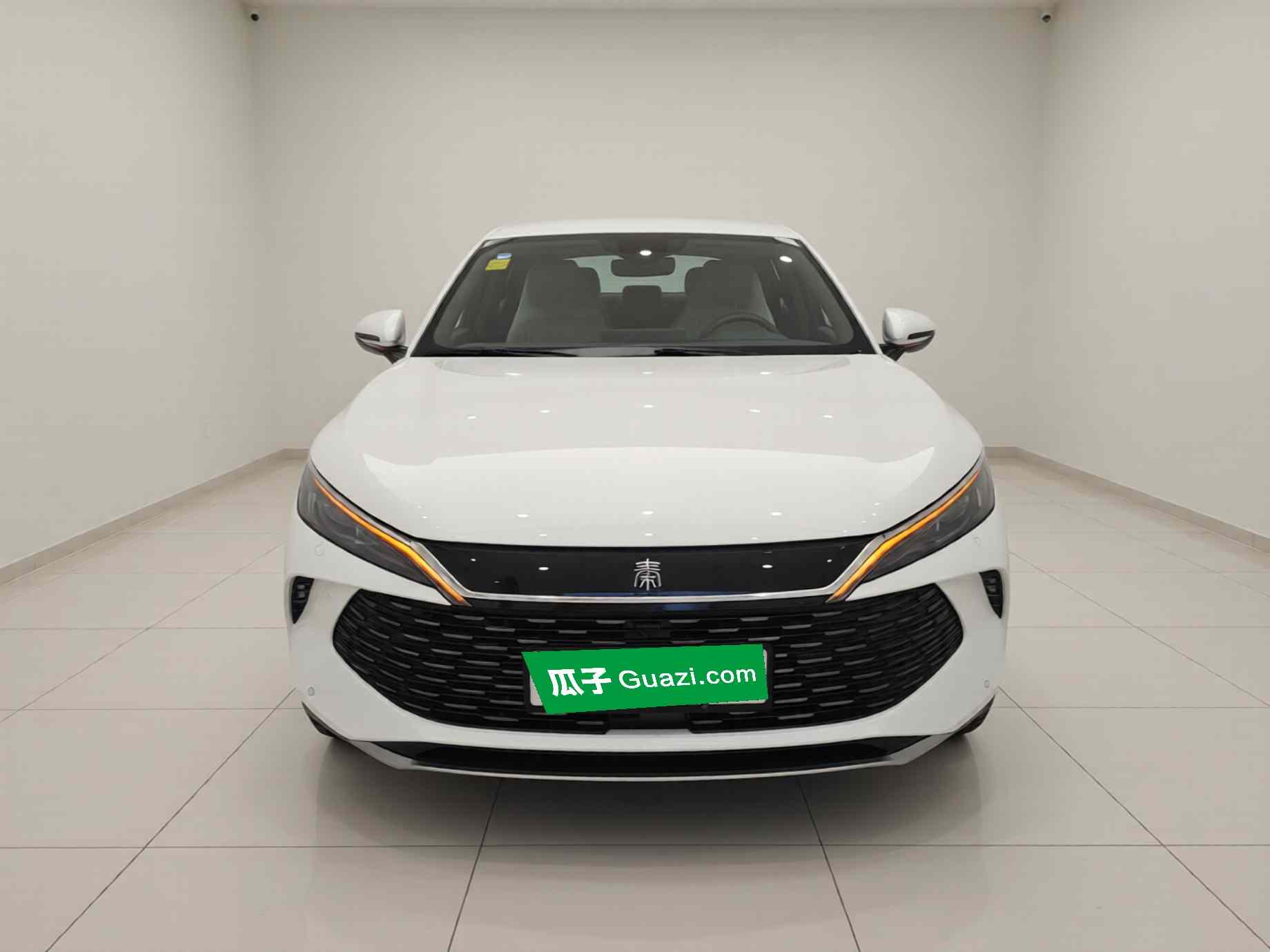 比亚迪 秦L 2026款 DM-i 128KM进取型(1)