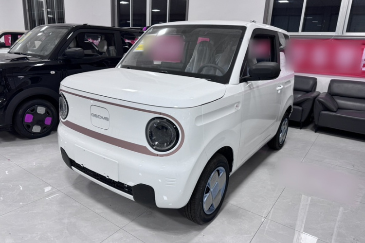 吉利银河 2024款 熊猫mini 200km 耐力熊车身外观6005