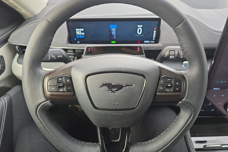 福特电马 2021款 无疆后驱豪华版(长续航)局部细节13