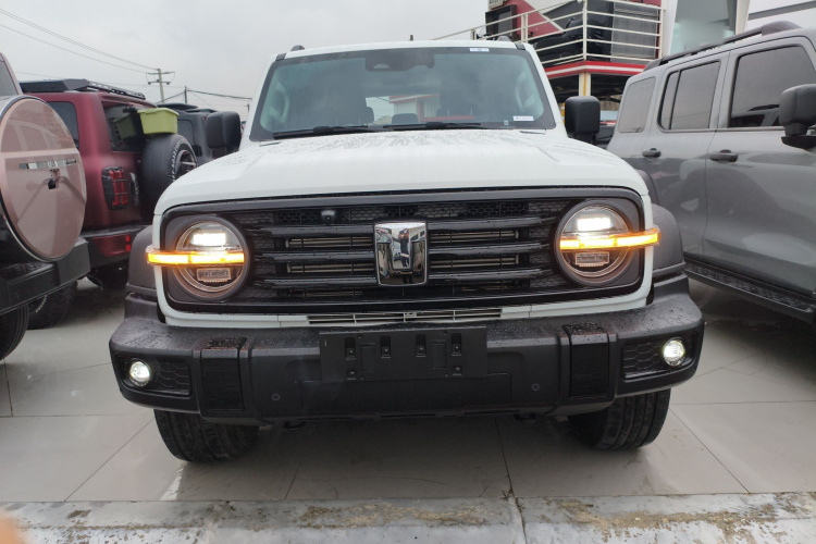 坦克300 2024款 2.0T 征服者车身外观2