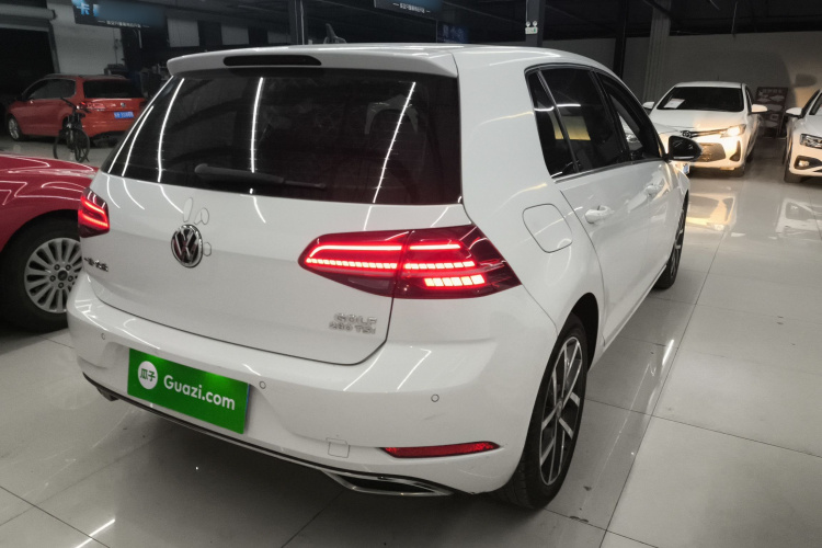 大众 高尔夫 2019款 280TSI DSG豪华型 国VI车身外观6005