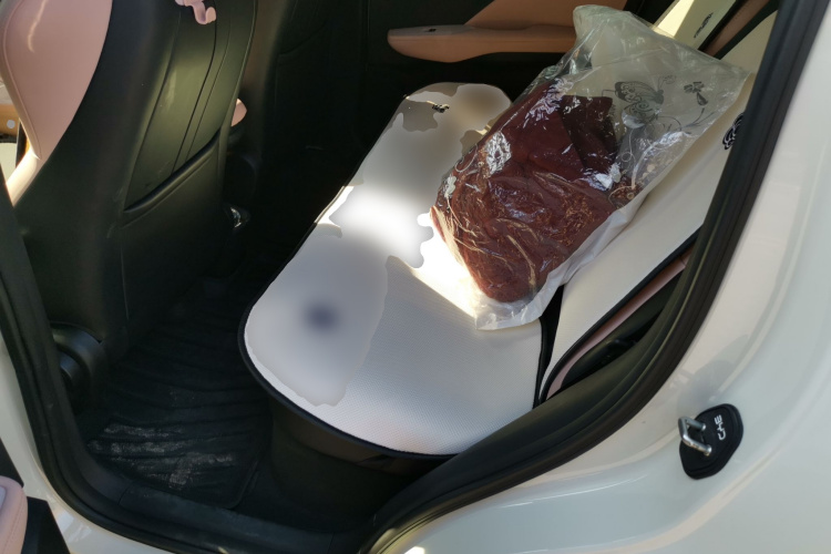 比亚迪 海鸥 2025款 305km 活力版中控内饰21