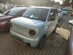 吉利银河 2023款 熊猫mini 200km 灵动熊