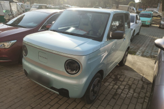 吉利银河 2023款 熊猫mini 200km 灵动熊