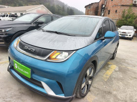 比亚迪 海豚 2021款 401km 骑士版