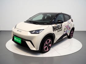 比亚迪 海鸥 2023款 飞翔版
