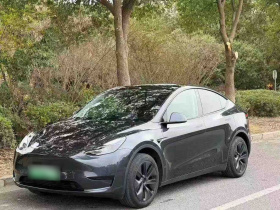 特斯拉 Model Y 2024款 后轮驱动版