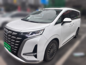 腾势D9 2022款 DM-i 1040 尊贵型