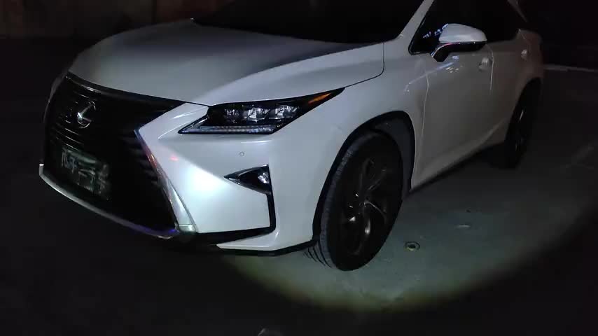 雷克萨斯RX 2016款 300 四驱典雅版 国V检测视频1