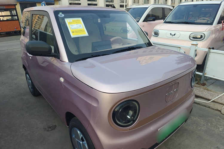 吉利银河 2024款 熊猫mini 200km 耐力熊车身外观3