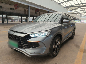 比亚迪 宋Pro新能源 2023款 冠军版 DM-i 110KM卓越型
