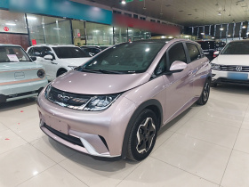 比亚迪 海豚 2021款 405km 时尚版