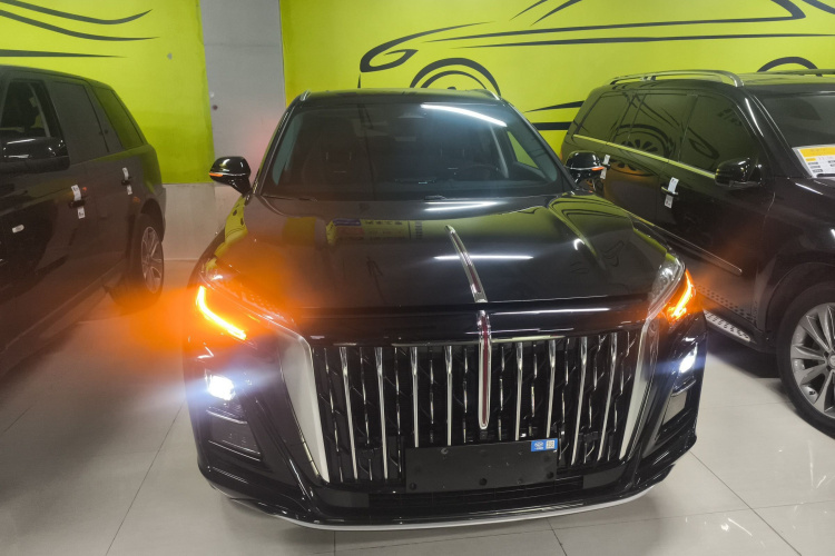 红旗HS3 2023款 1.5T 两驱善为版车身外观6001