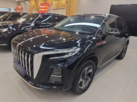 红旗HS3 2023款 1.5T 两驱善为版