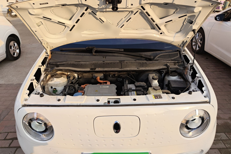 欧拉黑猫 2021款 301km 萌宠版机舱底盘24