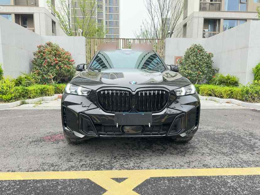 宝马X5 2023款 xDrive 40Li M运动套装(4)