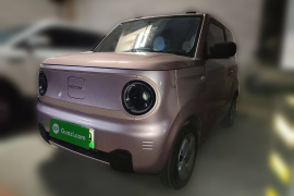 吉利银河 2024款 熊猫mini 200km 耐力熊