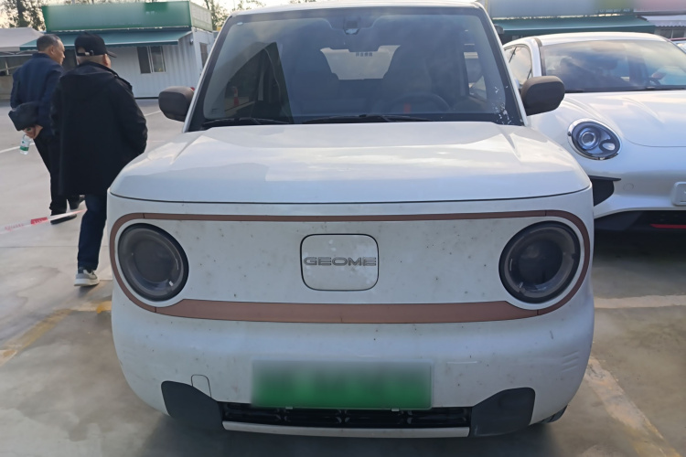 吉利银河 2024款 熊猫mini 200km 龙腾PRO版车身外观2