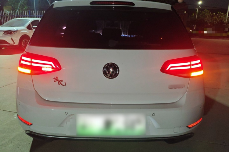 大众 高尔夫·纯电 2020款 驰车身外观6004