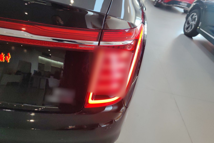 红旗H9 2022款 2.0T 智联旗享版车身外观9